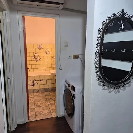 Dya * Ap Decomandat 2 Cam * Sat Vacanta Apartament